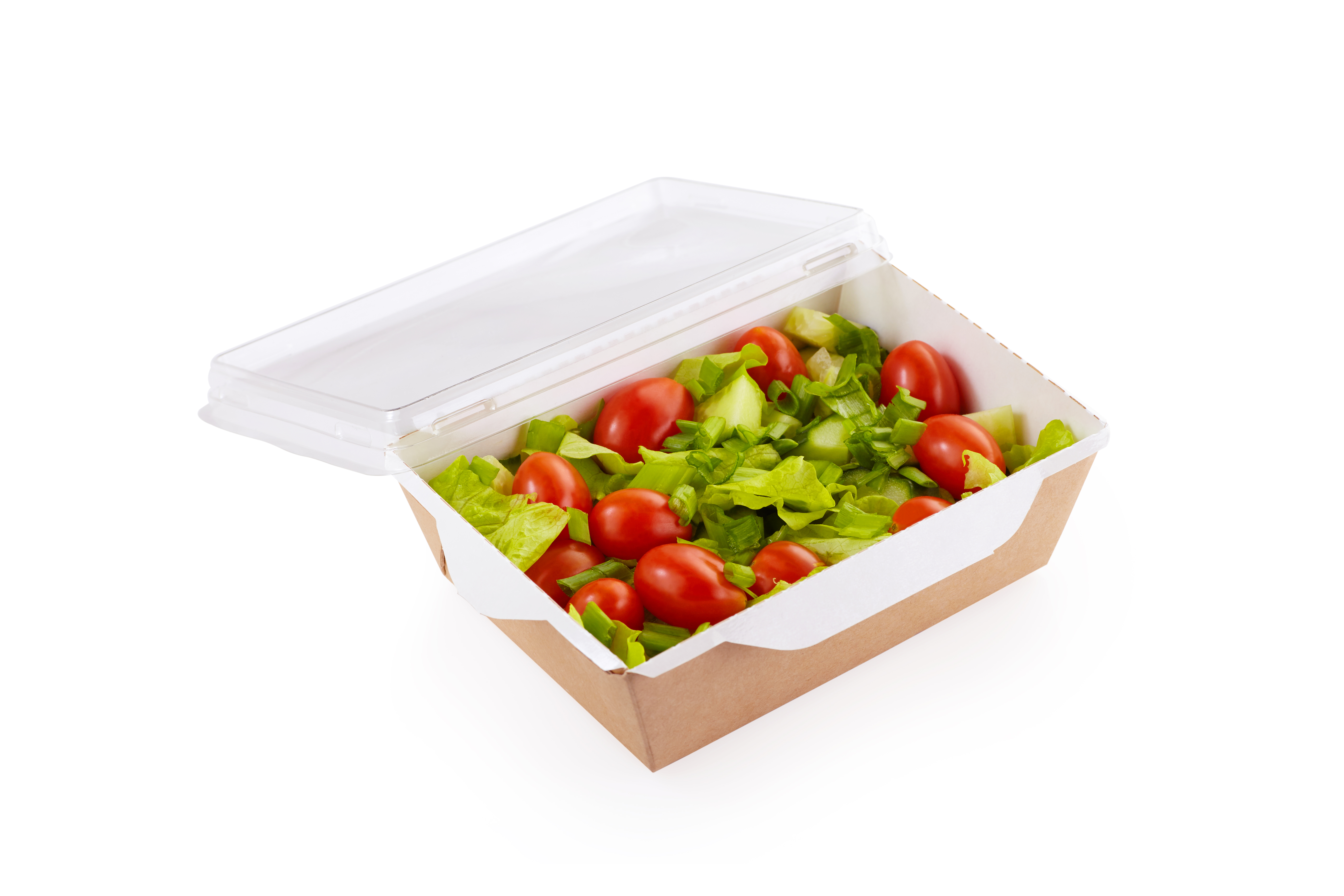 Salad bowls OSQ OPSALAD 450 with transparent lid