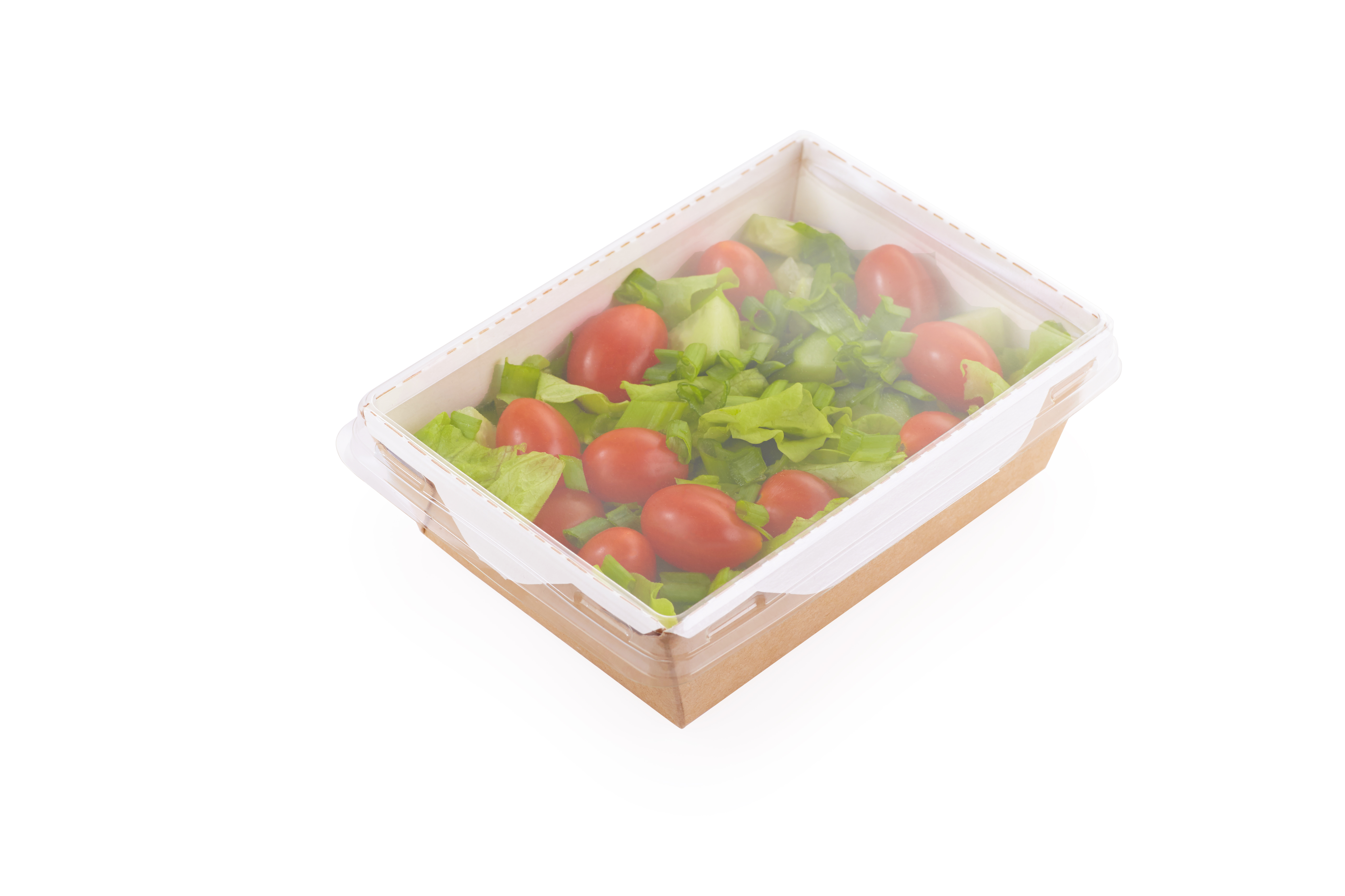 Salad bowls OSQ OPSALAD 450 with transparent lid