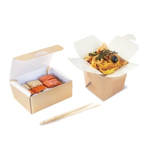 Sushi and Noodle Boxes